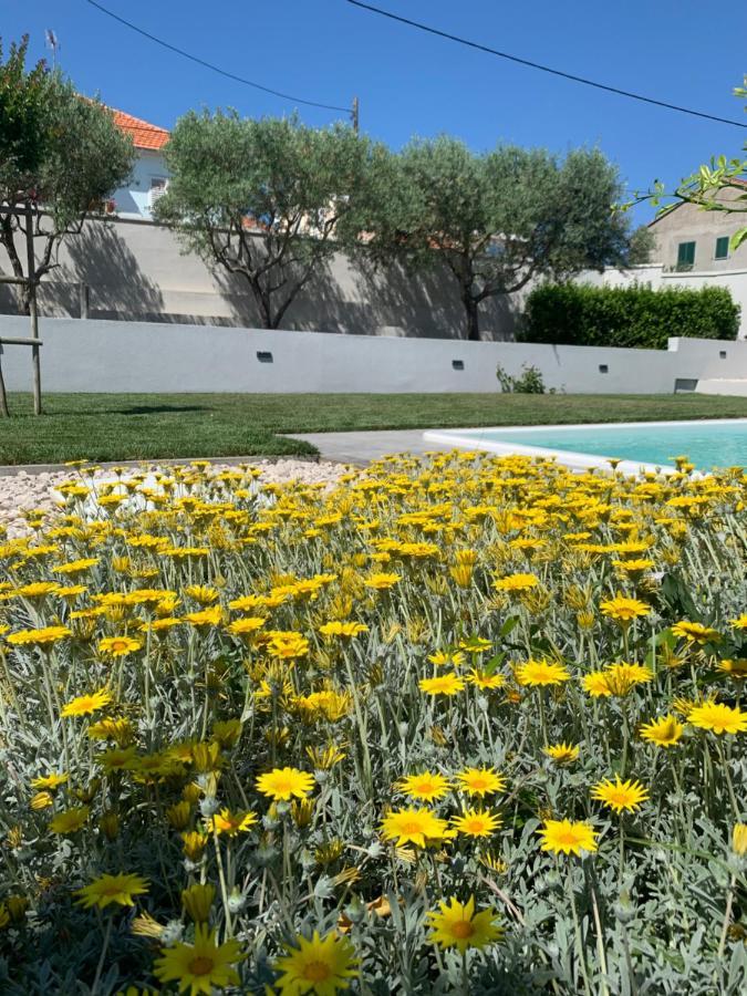 Vila Tony'S House With Private Pool, Garden And Parking Zadar Exteriér fotografie